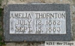 Amelia Thornton