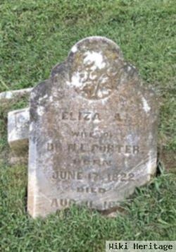 Eliza Ann Hilton Porter