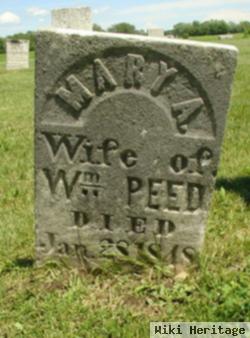 Mary A. Peed