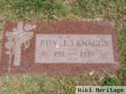 Roy J. J. Knaggs