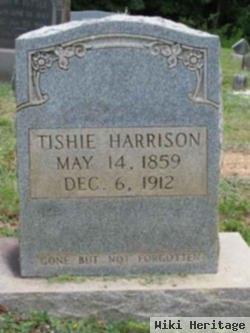 Tishie Fulk Harrison