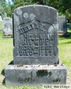 Delia Estelle Hillman Wright