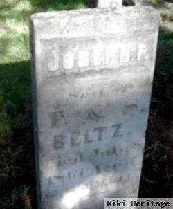 Joseph F Beltz