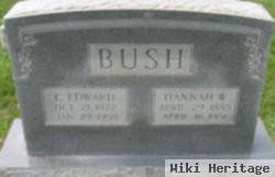 Hannah Webb Bush