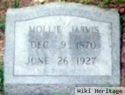 Mollie Jarvis