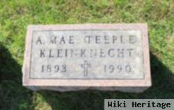 Anna Mae Abbott Kleinknecht