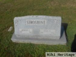 Arthur G Stroshine