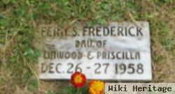 Fern S Frederick