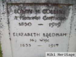 Elizabeth Collins