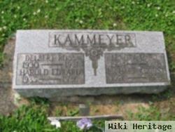 Harold Edward Kammeyer