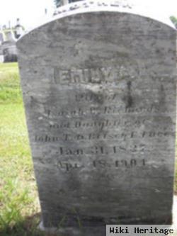 Emily A. Luce Richards