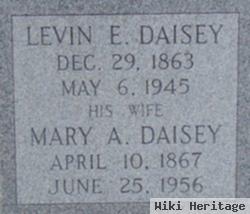 Mary A Betts Daisey