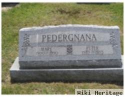 Peter Pedergnana