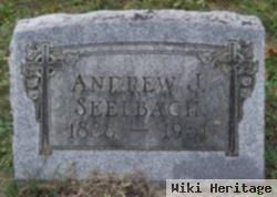 Andrew J Seelbach