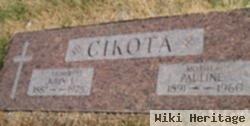 John I. Cikota