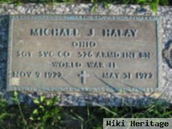 Michael J Halay