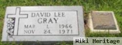David Lee Gray