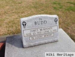 Dr James Mckinney Budd