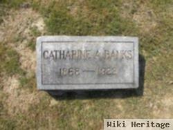 Catherine Ameola Miller Banks