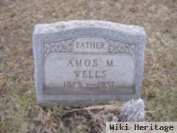 Amos M Wells