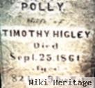 Polly Allen Higley