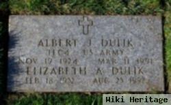 Elizabeth Ann Mullin Dulik