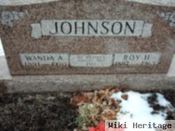 Infant Son Of Roy & Wanda Johnson