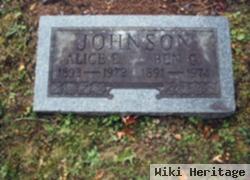 Alice E. Johnson