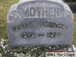 Mary L Hassinger