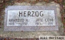 Raymond H Herzog