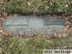 Albert R. Johnson