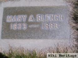 Mary Ann Blench Gibson