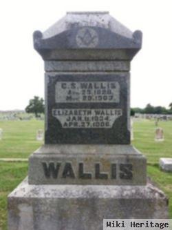 Christopher S. Wallis