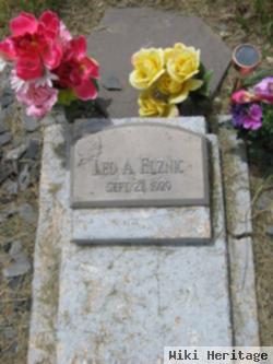 Leo A. Elznic