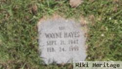 Wayne Hayes