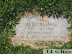 Alex A. Kushka