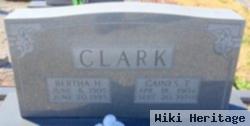 Bertha Hogan Clark