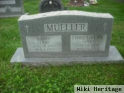 Harry Louis Mueller