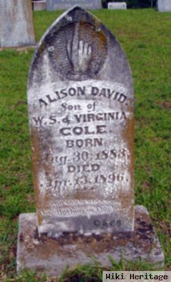 Alison David Cole