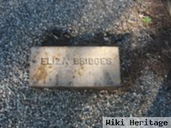 Eliza Bridges