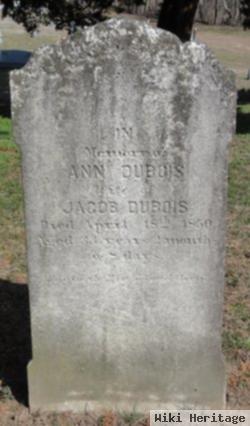 Ann Dubois