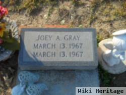 Joey A Gray