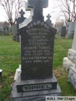 Joseph Tippel