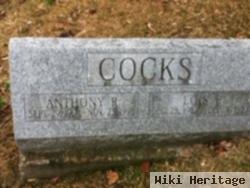 Anthony R Cocks