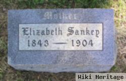 Elizabeth J Luzier Sankey