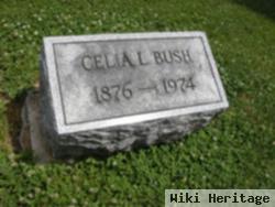 Celia L Bush