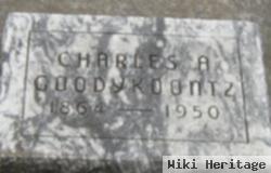 Charles Allen Goodykoontz