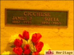 James P. Cicchese