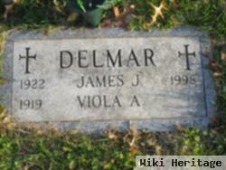 James J Delmar