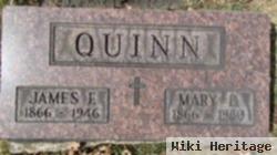 Mary D Hamilton Quinn